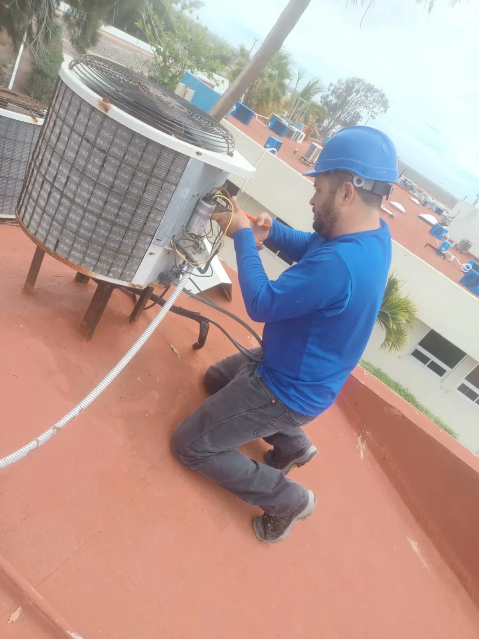 Trabajo realizado por Multiservicios LP — foto 39